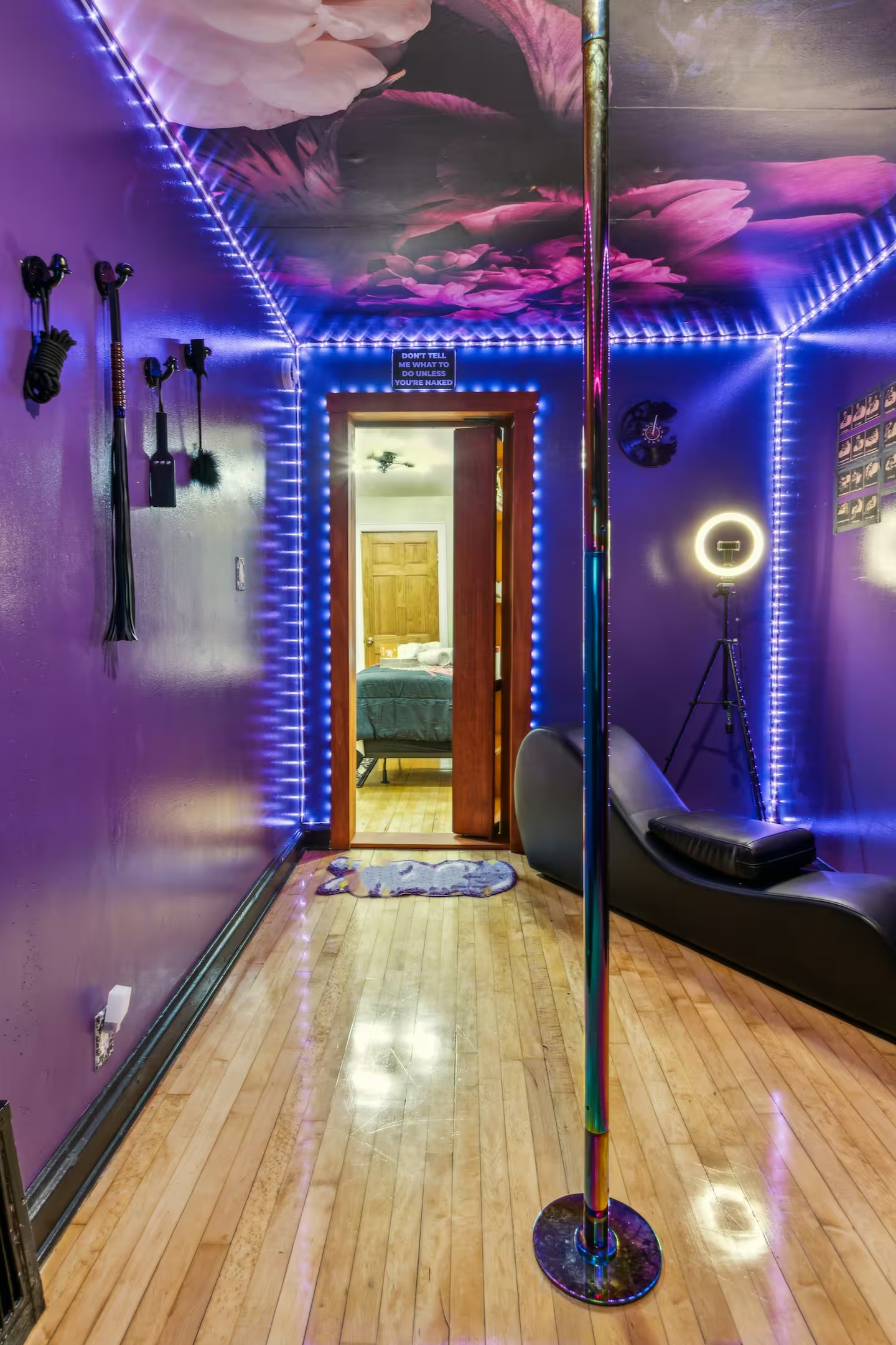 Pole Dance Room Milwaukee Theme Suite